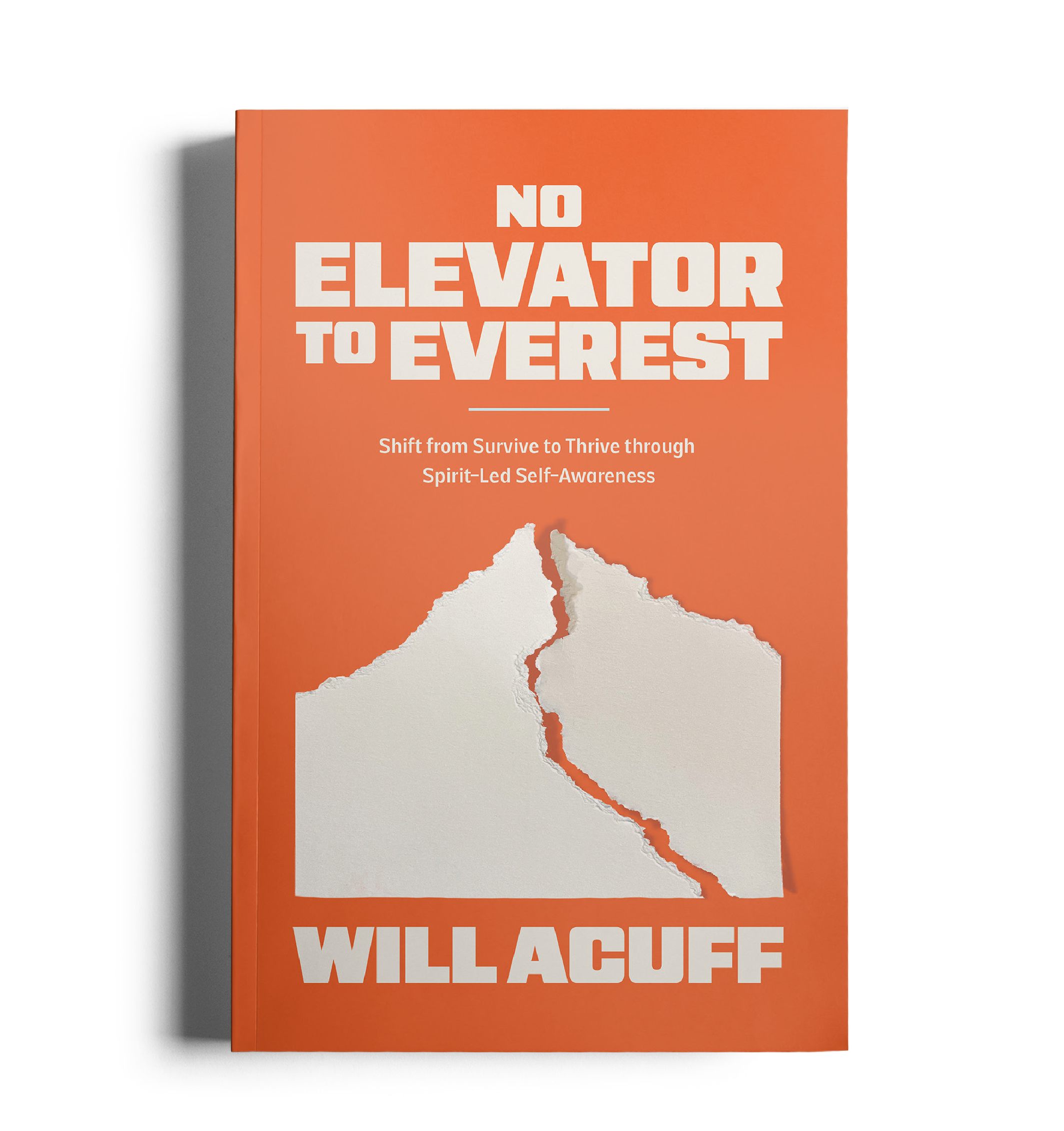 NETE Book Cover